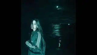 [free for profit] dom corleo + destroy lonely type beat 