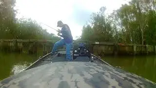 Louisiana Fishing Trip in Bayou Black (Gibson, LA), 11-08-17