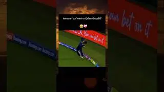 Best Cricket Moments 😱 #cricket #international #cricketlover #sports #ipl #sportscricket