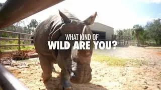 Find Your Inner Wild at the Central Florida Zoo & Botanical Gardens
