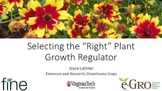 Selecting the &ldquo;Right&rdquo; Plant Growth Regulator