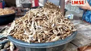 Dry Fish Production of the Subarnarekha Farmer Producer Company Limited (India)
