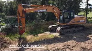 🤠arrachage de souches🤠