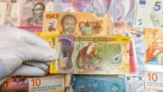 Now I Am A Millionaire!!! This Is A Super Rare Best Paper Money Hunt This Year @worldcurrencyhunt