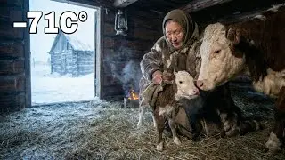 An 84-Year-Old Yakutia Woman Delivers a Calf During a −71°C Snowstorm