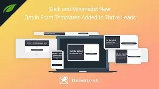 Slick and Minimalist Opt-in Form Designs