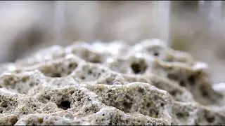 Gentle Rain on White Soil | 25 Minutes Relaxing Piano for Sleep & Meditation