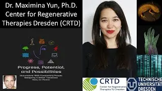 Dr. Maximina Yun, Ph.D. - Unlocking Secrets Of Salamander Regeneration For Regenerative Therapies