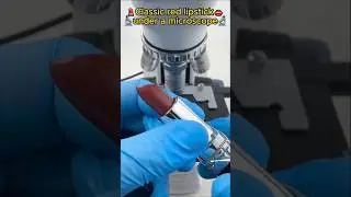 लिपस्टिक UNDER MICROSCOPE 🔬😱🤮#shorts #youtubeshorts #shortvideo