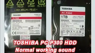 TOSHIBA PC P300 HDD Normal working sound || 7200rpm Hard Drive running || Hard Drive Sounds