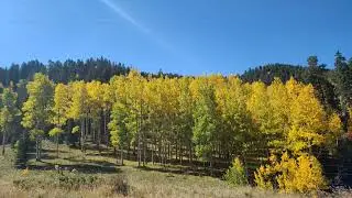 Highway 165 North | Fall Colors in Colorado