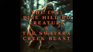 The 1985 Pine Hill Rd Creature and the Swatara Creek Beast