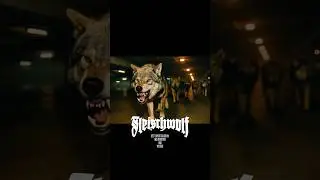 Jetzt in der ARD Mediathek und auf YouTube: FLEISCHWOLF &ndash; eine Serie von BANKproduziert!!!