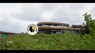 The Ellen DeGeneres Campus | One & Only Rwanda | The Dian Fossey Gorilla Fund