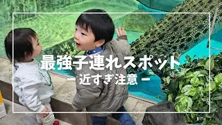 【ニフレル】兄弟のリアクションが可愛すぎた休日Vlog