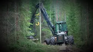 PIKA 856 harvesteri. 🌲🌳🌲