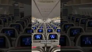 The Reality of Long-Haul Economy Flights on American #shorts