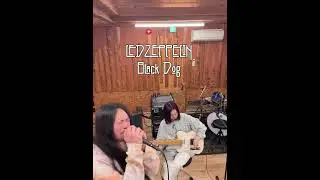 LED ZEPPELIN - Black dog covered by とほなみ（tohnami）