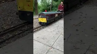 66780 arriving at the Halt! 📹🚂 #trains #miniaturerailway #coatewaterminiaturerailway #class66￼
