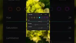 Lightroom yellow colour tone photo editing tutorial #shorts #viral #lightroom #editing #public #edit