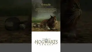 I want a Kneazle!!! #kneazle #hogwartslegacy