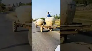 Amazing heavy transport 😃🤣😍 #shorts #countryside #farm
