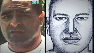 PROGRAMA C&Oacute;DIGO:  VIOLADOR SERIAL