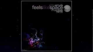 Philip Arruda - Feels Like Space (The Junkies Remix)