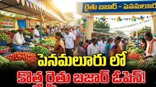 పెనమలూరు ప్రజలకు శుభవార్త 🤩 | కొత్తగా ఓపెన్ అయిన రైతుబజార్ | తాజా కూరగాయలు🍅🫑🫛