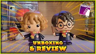 UNBOXING E REVIEW HARRY POTTER E HERMIONE FANDOM BOX