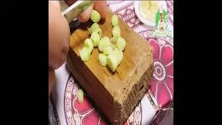 Most Satisfying Miniature Fry Snail Recipe | Delicious Cooking Snail in Miniature Kitchen 2023