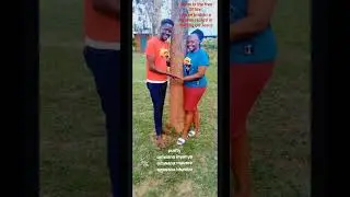 Heaven Tree holding Record #dance #dancegenre #wedding #dancemusic #agape #music