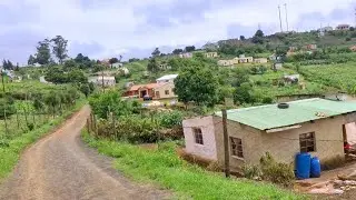 Outdoors ASMR Nature in Africa (Outdoors Chitchatting): Invasive Plants In My Village🪴