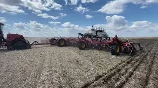 Planting Invigor Canola with CaseIH 620 pulling Bourgault 86&rsquo; 3335 with 91300 Cart