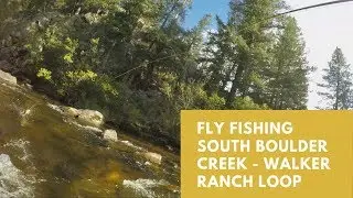 Fly Fishing South Boulder Creek - Walker Ranch Loop