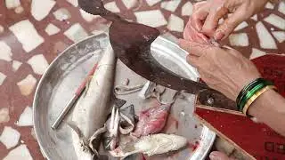अशी करा मुशी किंवा मोरी मासा साफ.. How To Clean Baby Shark
