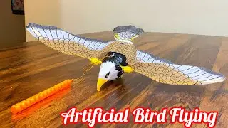 Schylling Tim Bird Mechanical Amazing Flying Toy | Bird Indoor Flying Science Toy