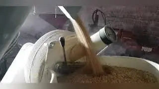 Macinatura orzo-mais-grano|2019| molino peruzzo C15-R/75|landini 9880|fiatagri 70 65