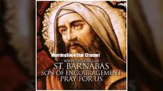 Everyday Tamil Homily : Gospel Reflection :- Matthew 5 : 13 - 16