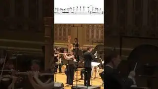 Turbulent Music in my Rhapsody for Flute and Chamber Orchestra