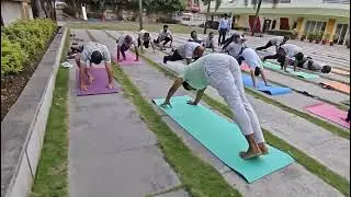 Yoga Changed My Life | Real Transformation Through Daily Practice | तन मन योग