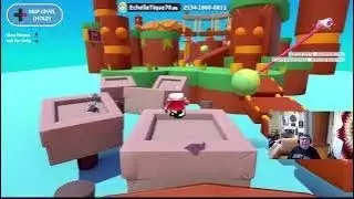 chill gamer playing sonic rumble & fall guys