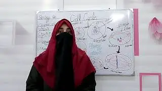 Mitosis Explained Step by Step | Cell Cycle Chapter 4 | Class 9 Biology Lecture 2 new syllabus 