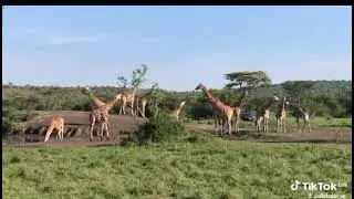 Visit Uganda 