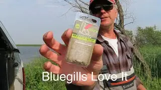 Open Water Fishing With A Kenders Akua Shrimp Ice Fishing Jig Bluegills Love It