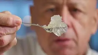 Nature=Futur ! La cuisine du vivant