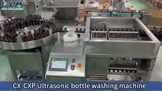 Looking for an Efficient Bottle Washing Solution?