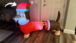 I Found A Christmas Inflatable For Dachshund Lovers!