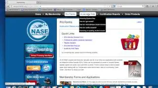 ProSite 2