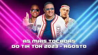 Rave funk   Tik tok brasilidades AGOSTO 2023 Dj Alberto Lucas